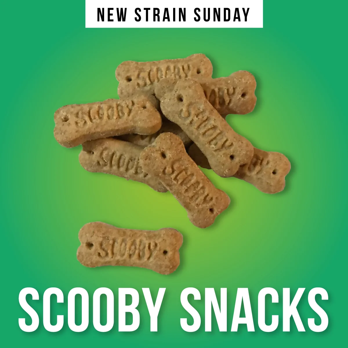 CCM-scooby-snacks.jpg