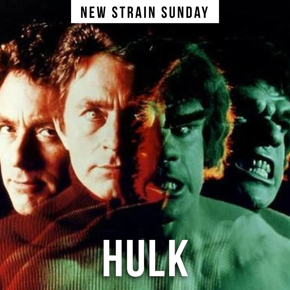 CCM-Hulk2.jpg