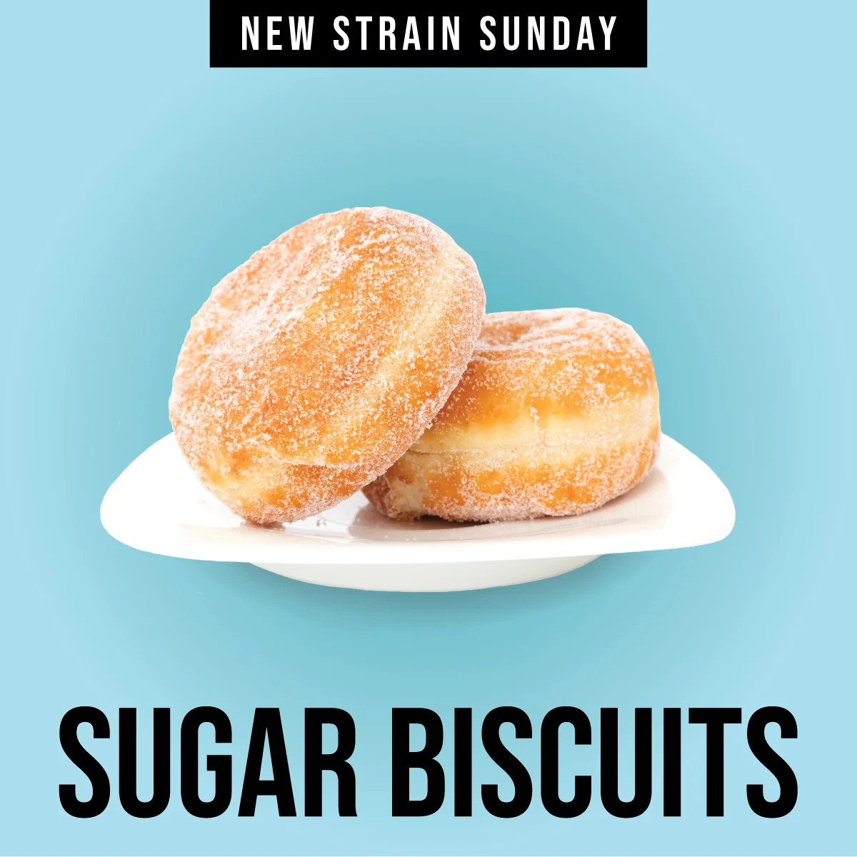 CCM-SugarBiscuits.jpg