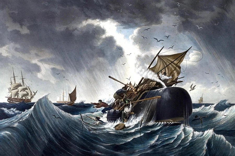 whale-destroying-whaling-ship-american-school.jpeg