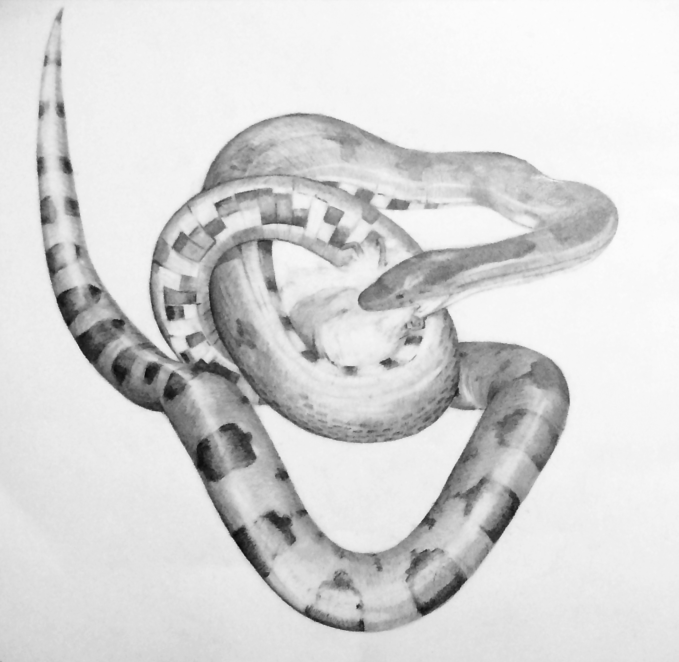 Snake II