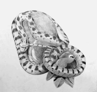 SNAKE I