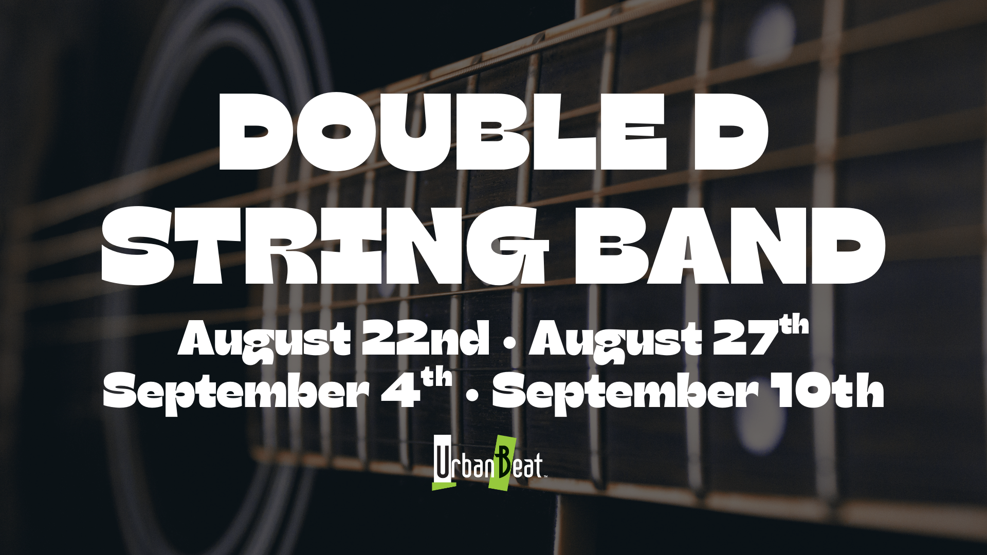 Double D String Band - No Cover
