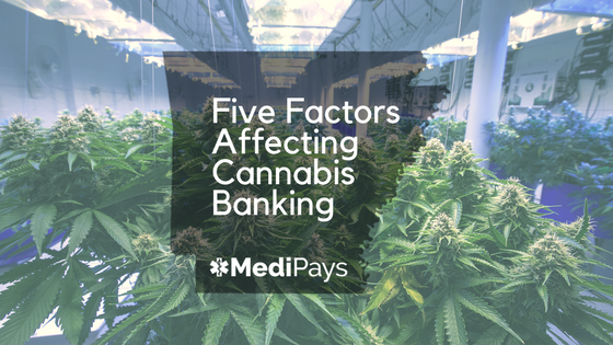 MediPays.FiveFactor.Blog.png