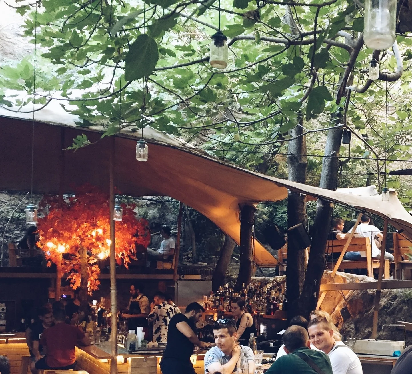 Six D.O.G.S. - Athens, Greece