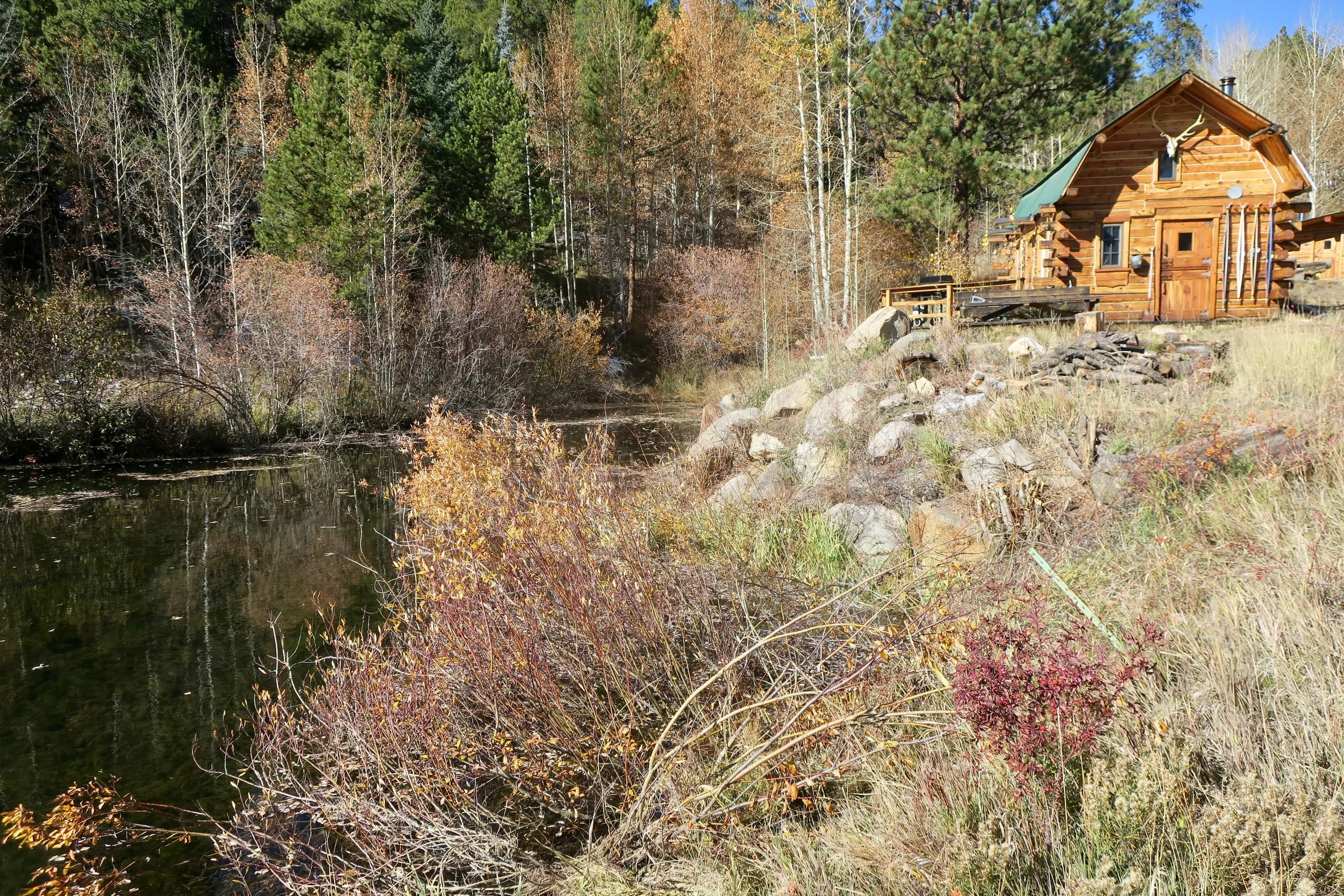 Off Grid Living: First Two Weeks At The Cabin