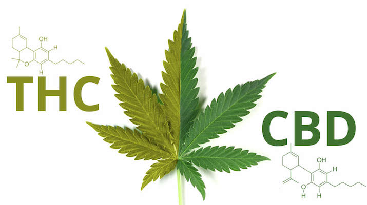 CBD.jpg