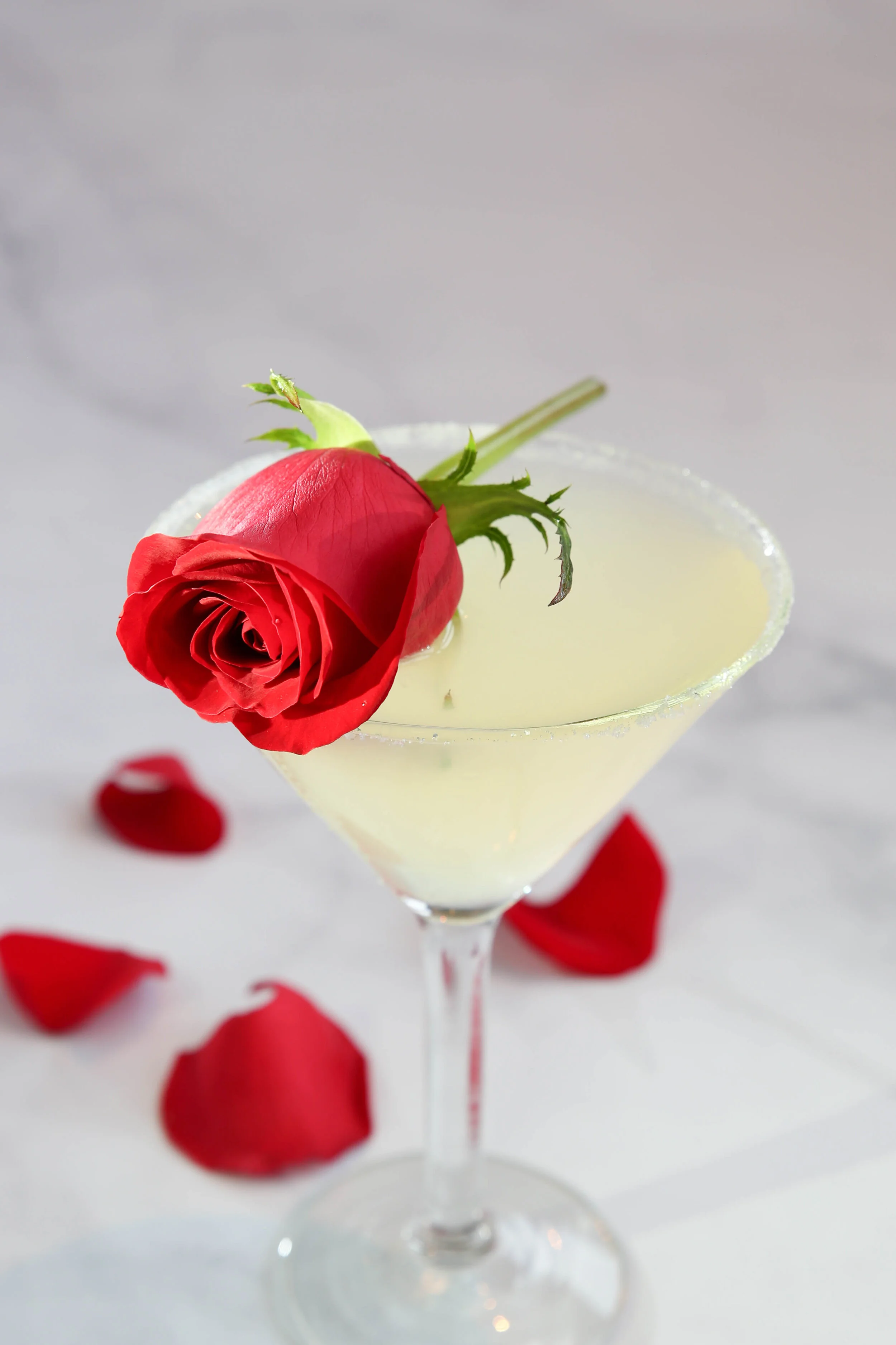 ValentinesDay promo_JEB_9297HR.jpg