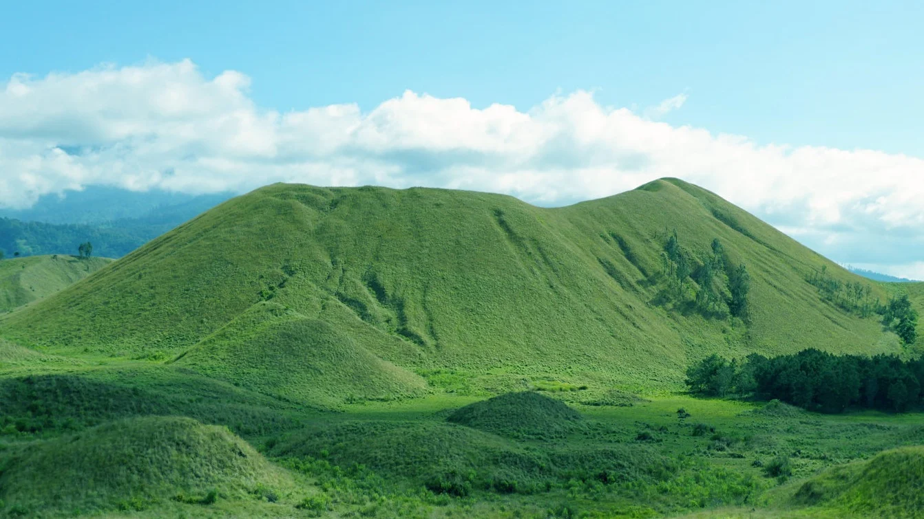 What the hill in my backyard looks like to me