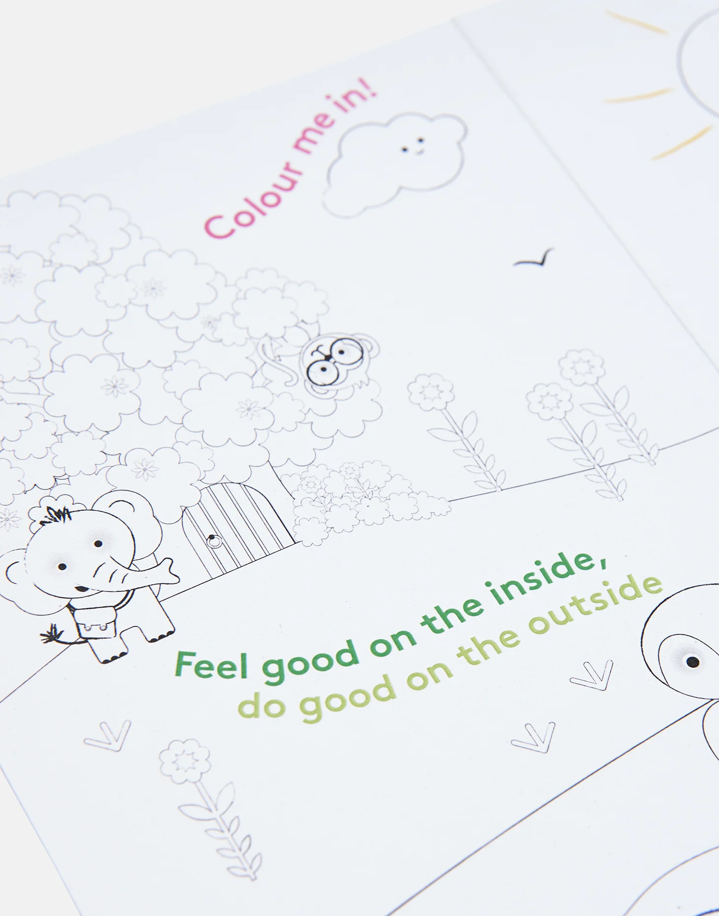 JOULES_STIB_CARDS_DETAIL_A.jpg