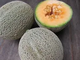 Cantaloupe.jpg