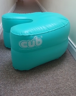 Cub1.jpg