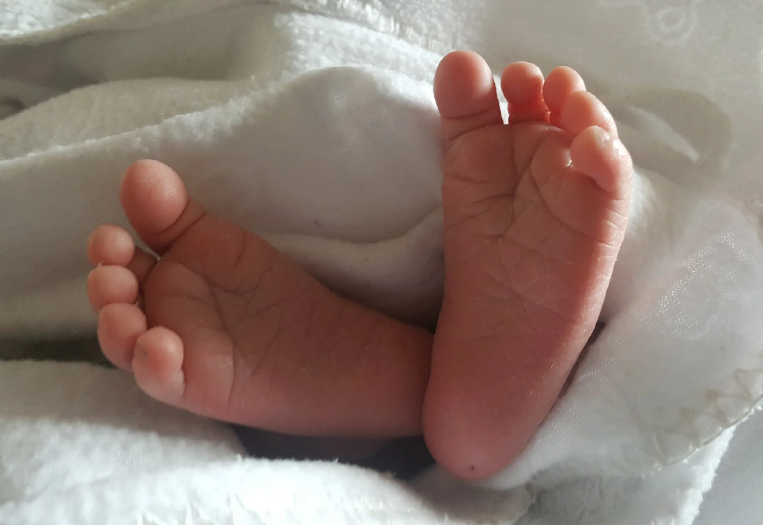 BabyFeet.jpg