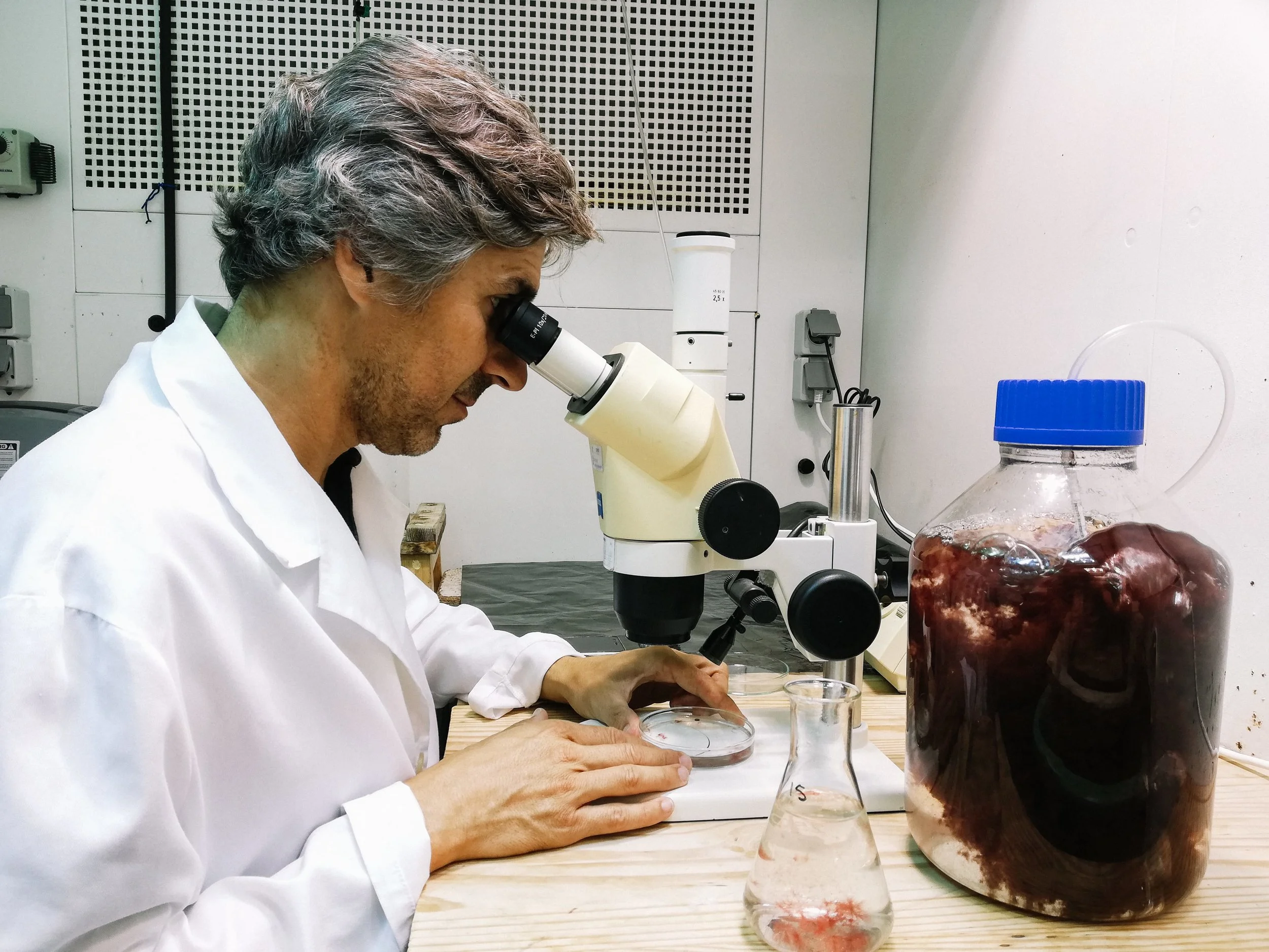 Greener Grazing-Portugal-120026.jpg