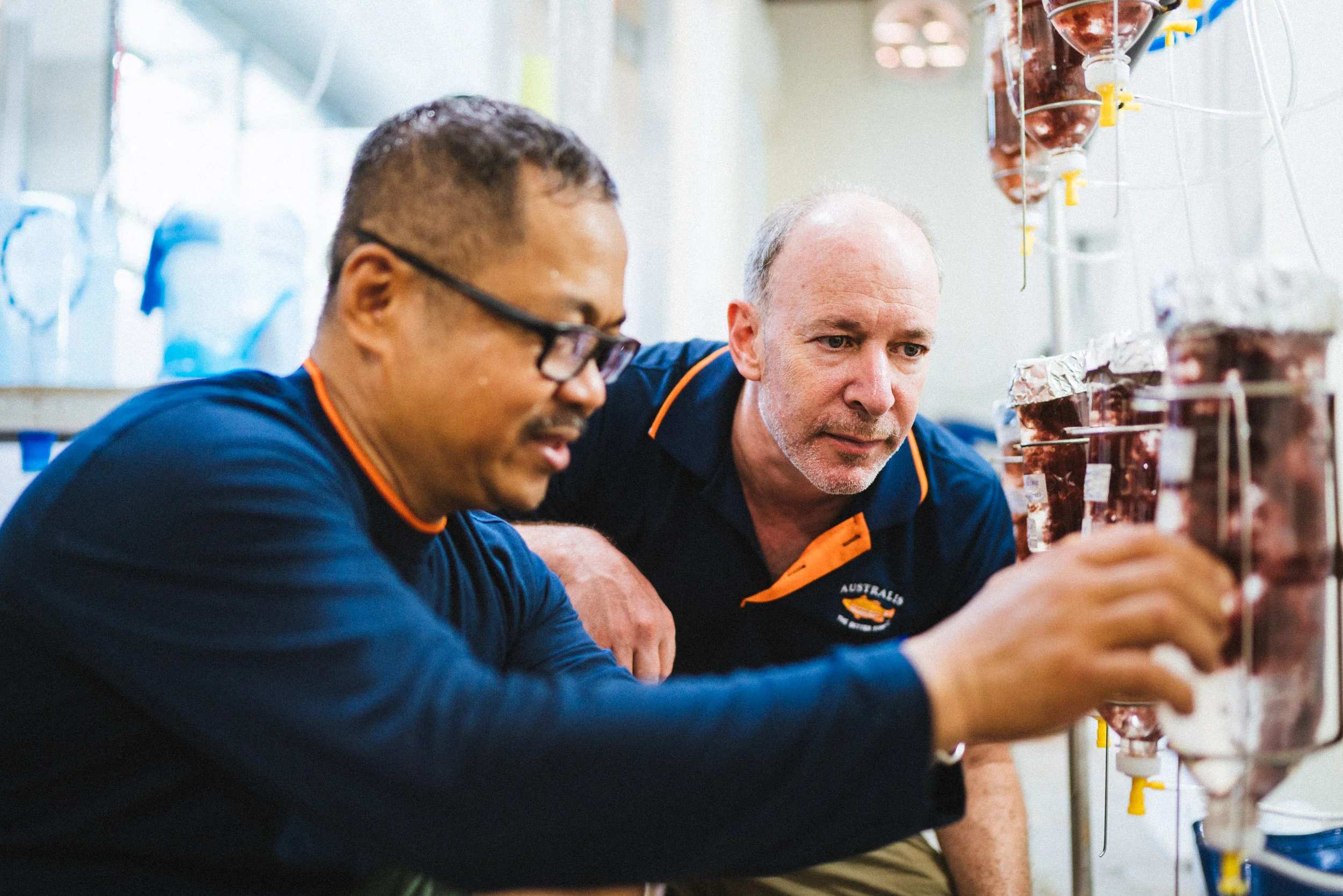 0619 AJS Australis Nha Trang VN-6141.jpg