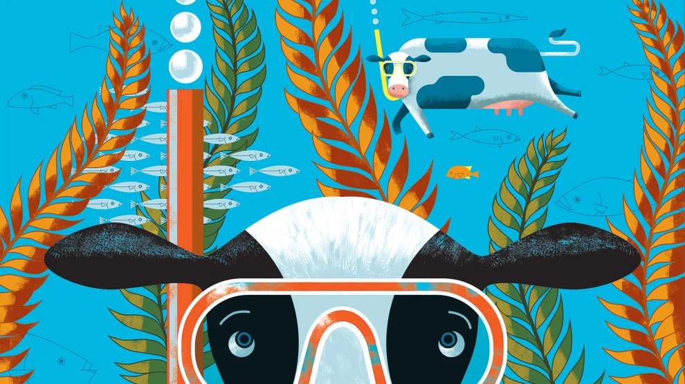 The Answer to Climate-Killing Cow Farts May Come From the Sea