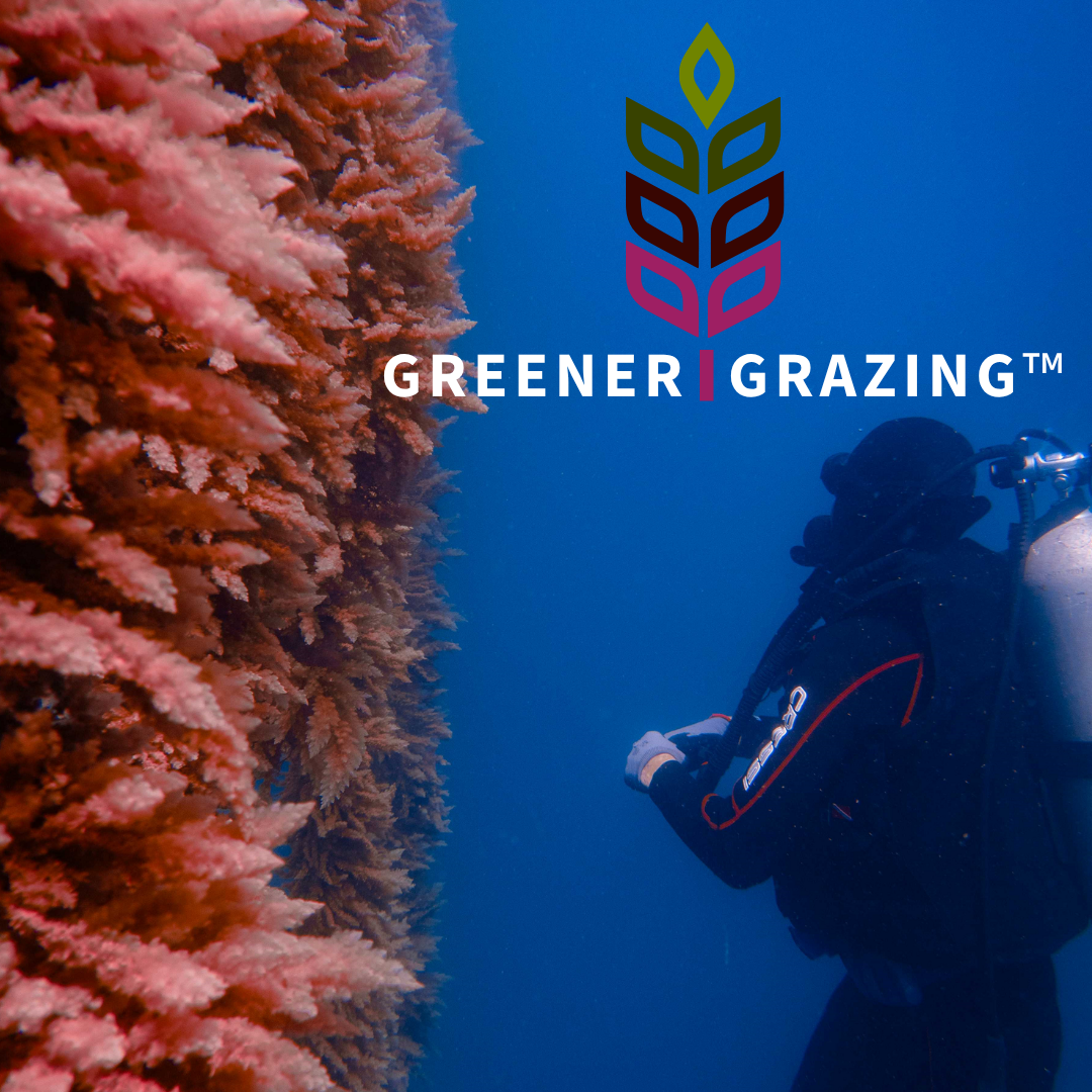 Greener Grazing™ is opening the conversation because better solutions are built together.