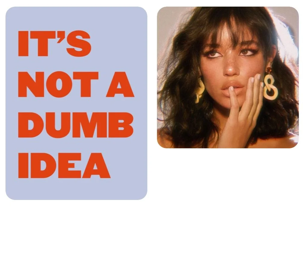 NO+DUMB+IDEA.jpg