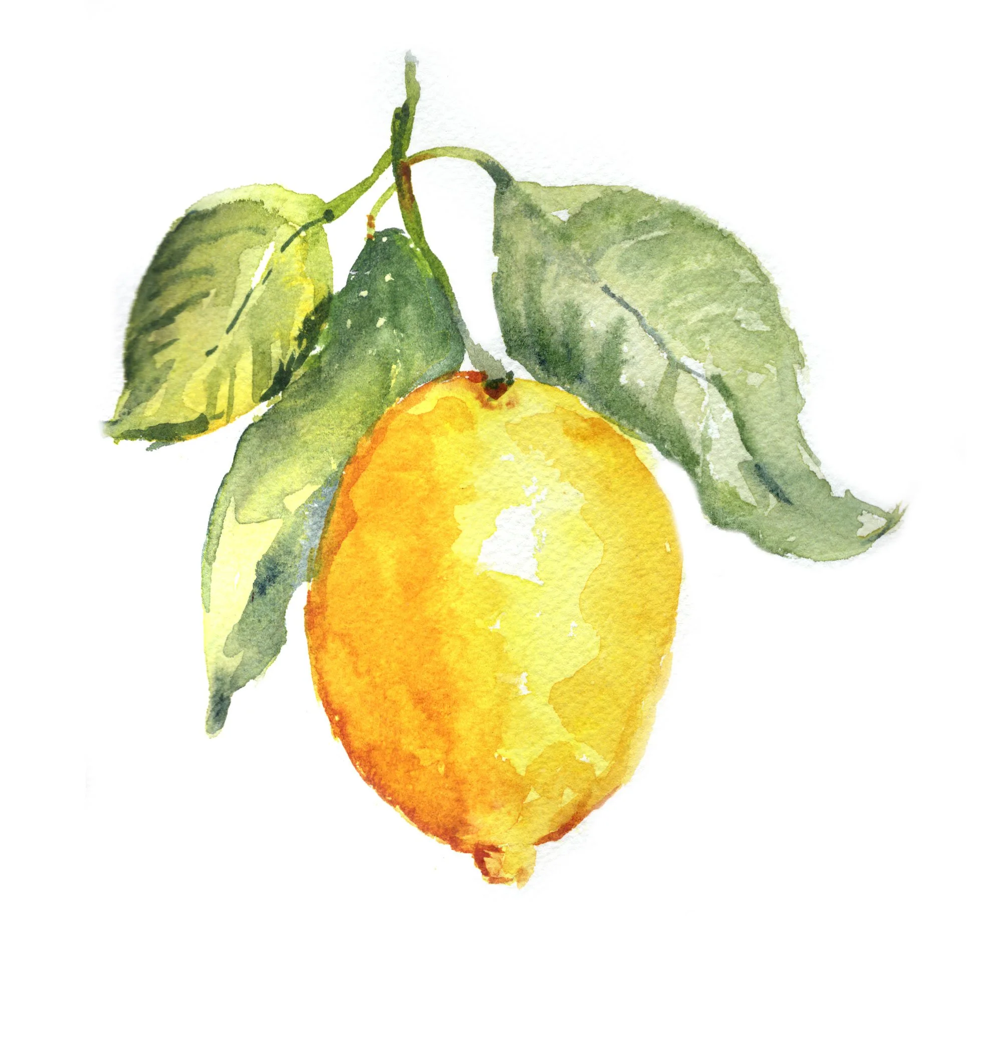CAPRI-LEMON.jpg