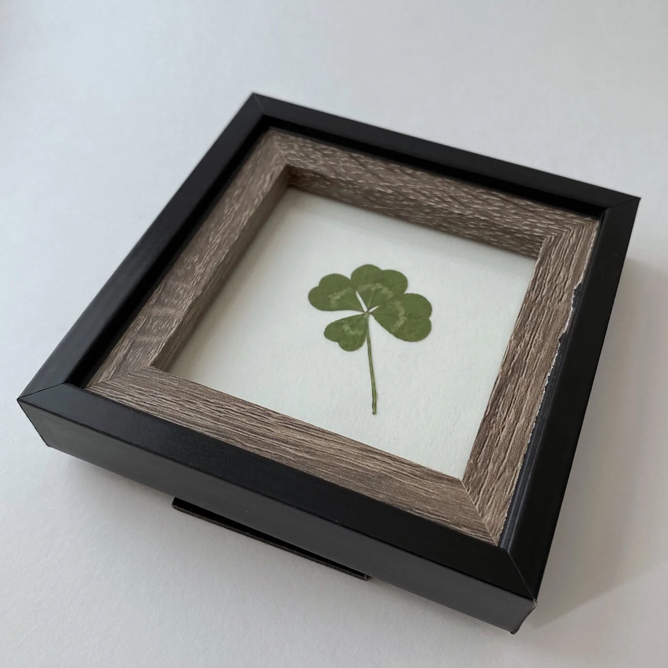 Framed Four Leaf Clover