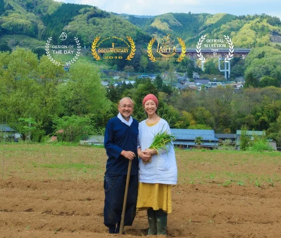 odayakaya.jpg
