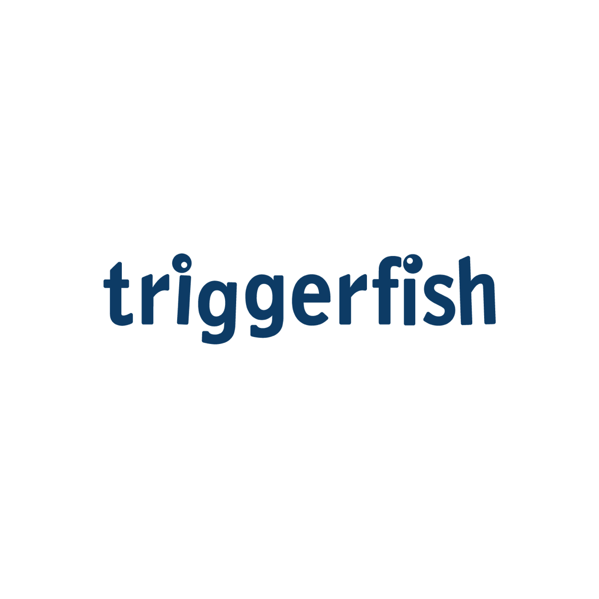 triggerfish_portfolio.png