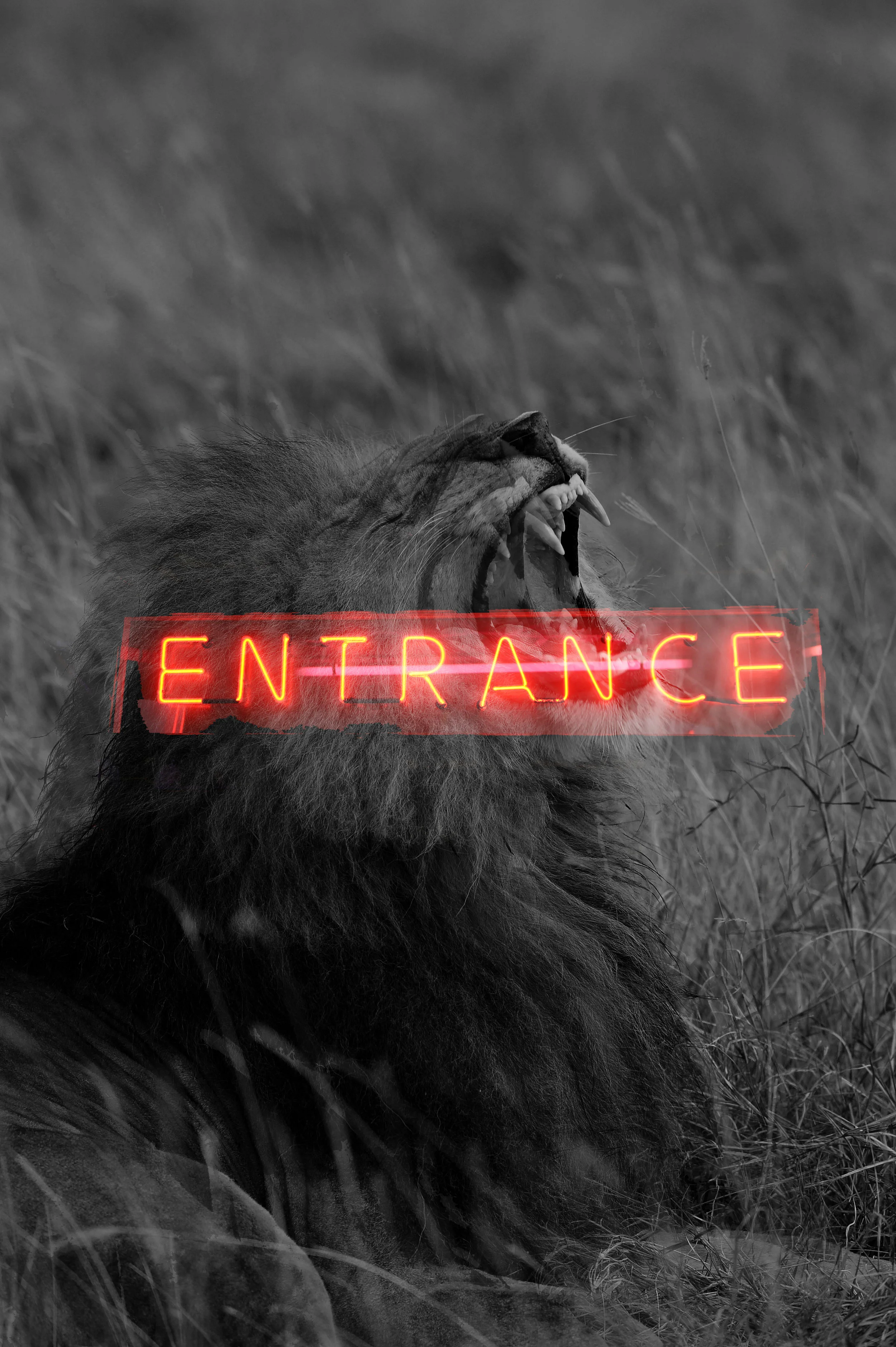 BWLIONwithentrance2018.jpg