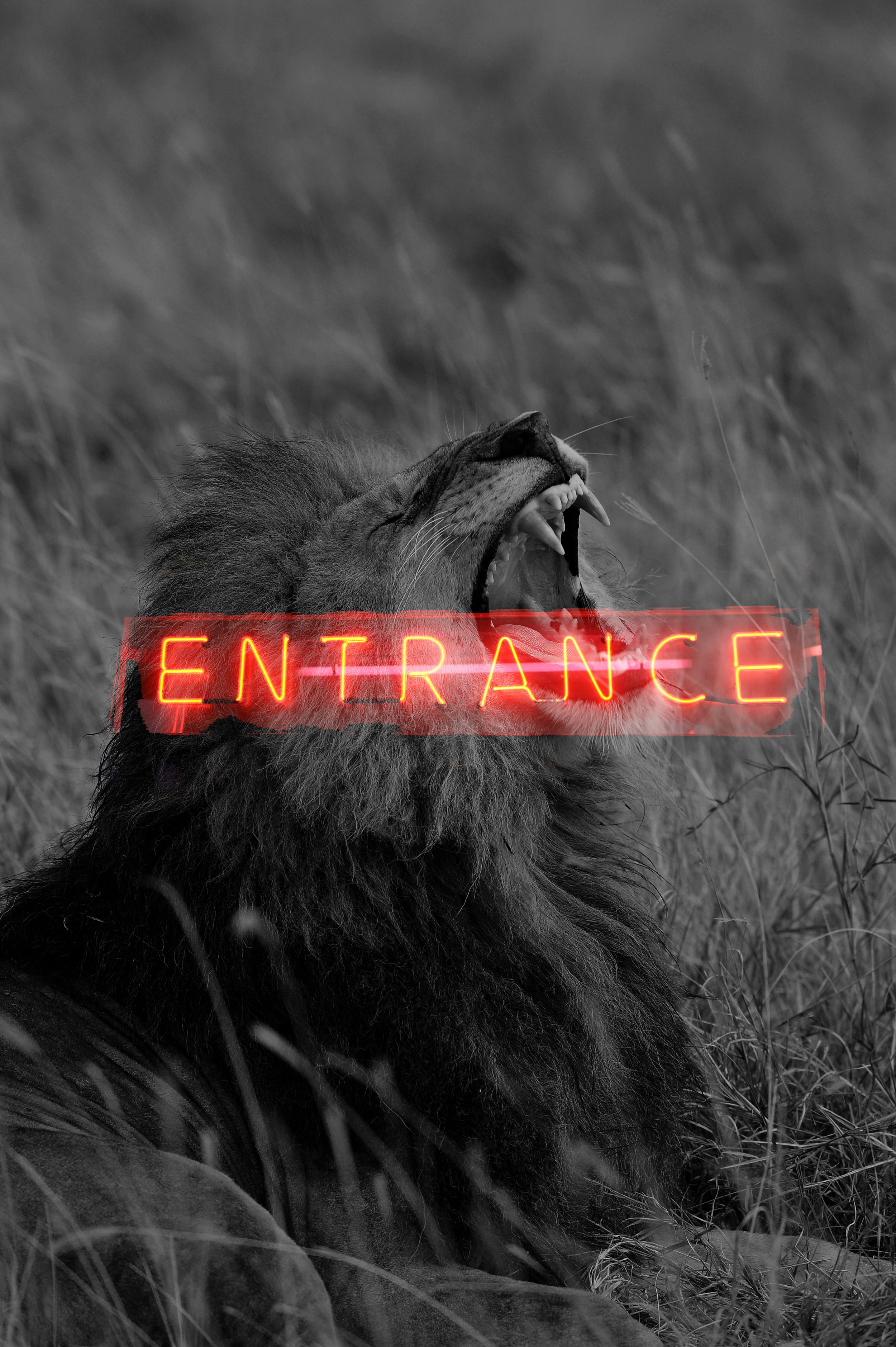 BWLIONwithentrance12018.jpg