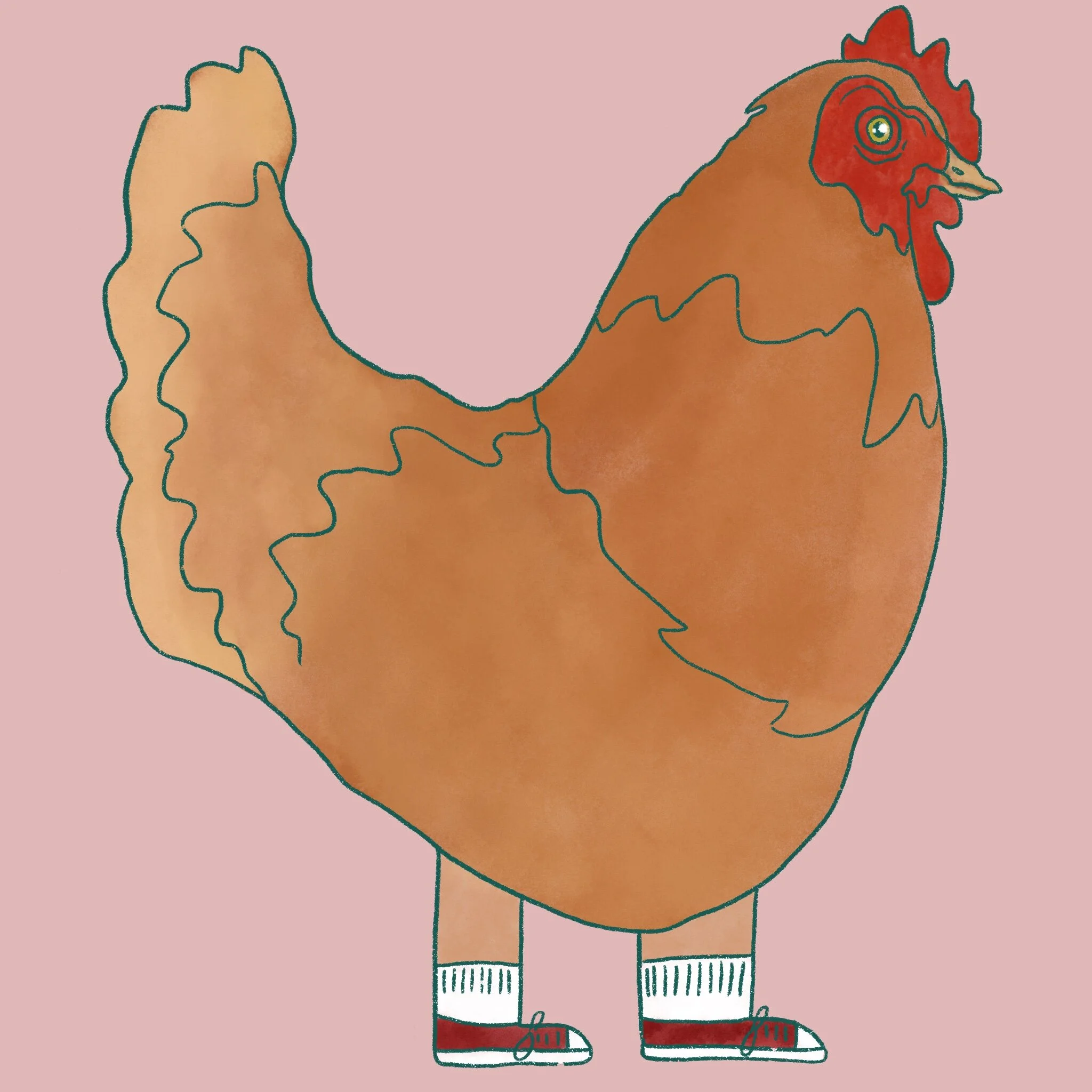 A chicken in Converse