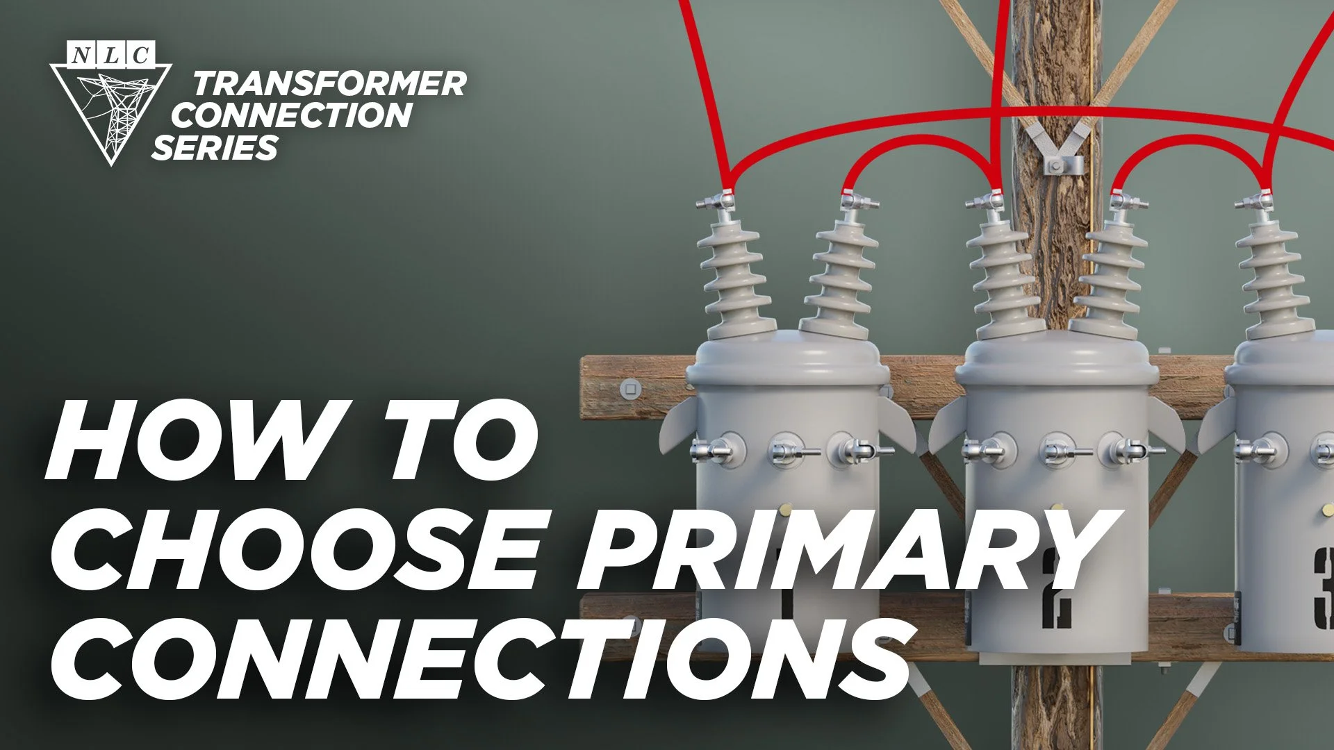 Determining Primary Connections