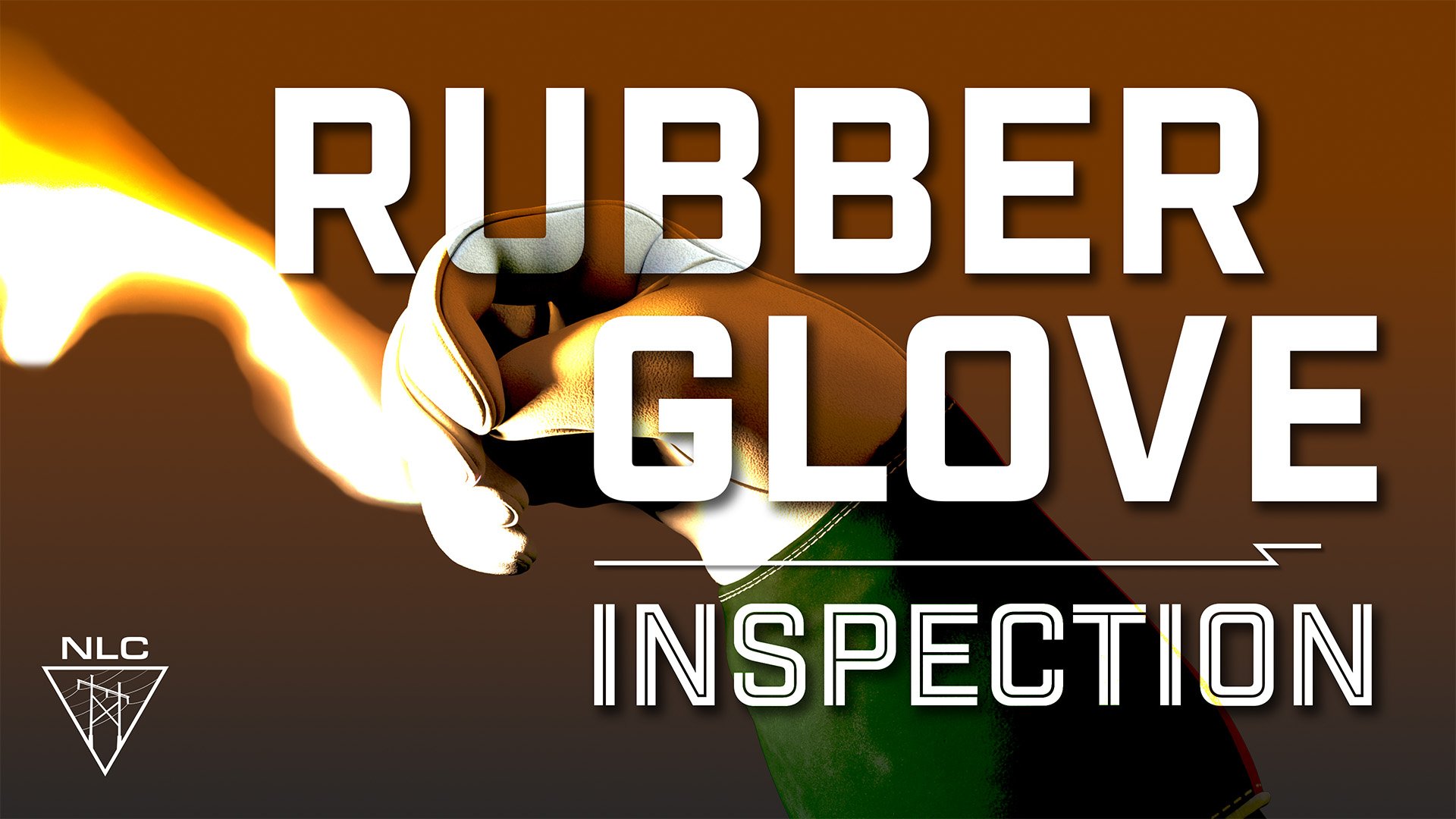 Rubber Glove Inspection