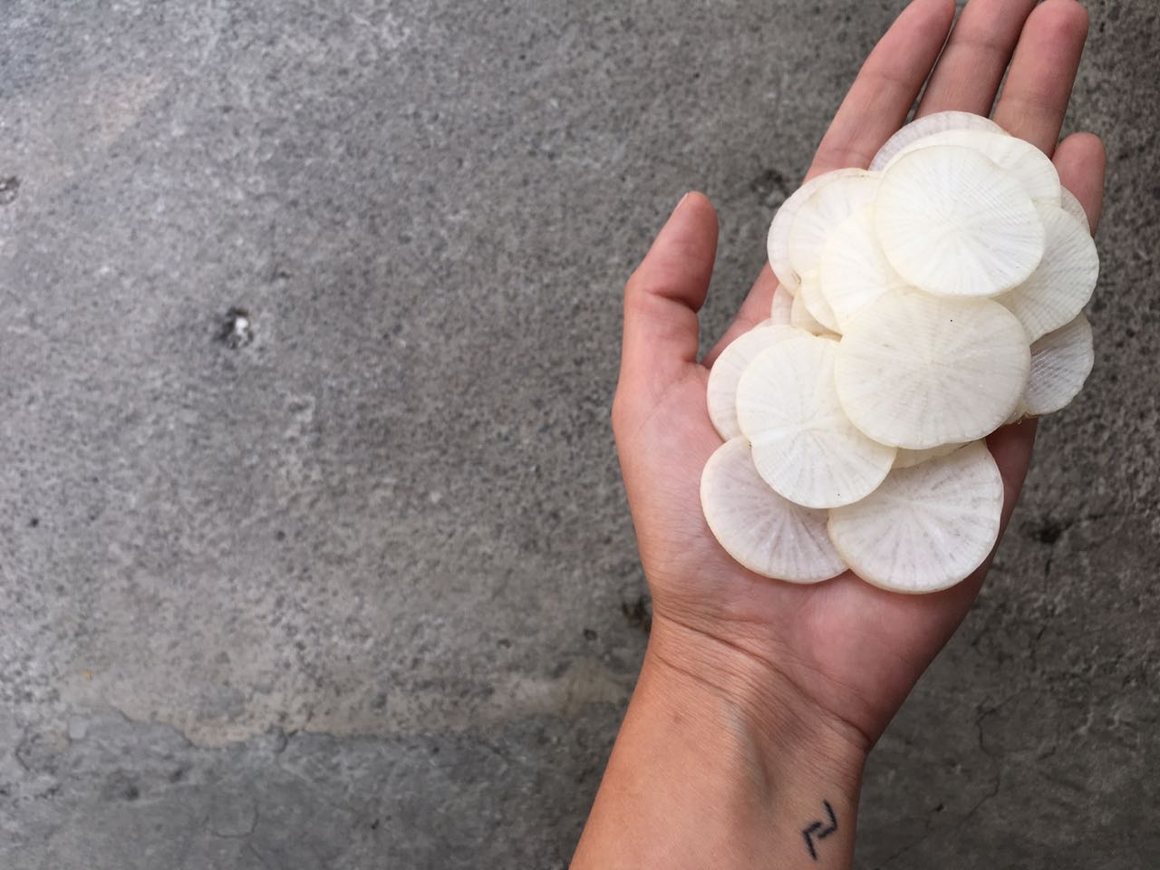 Yolcan La mayoría de nuestros vegetales viene de este huerta muy especial Todo organico y saludable.