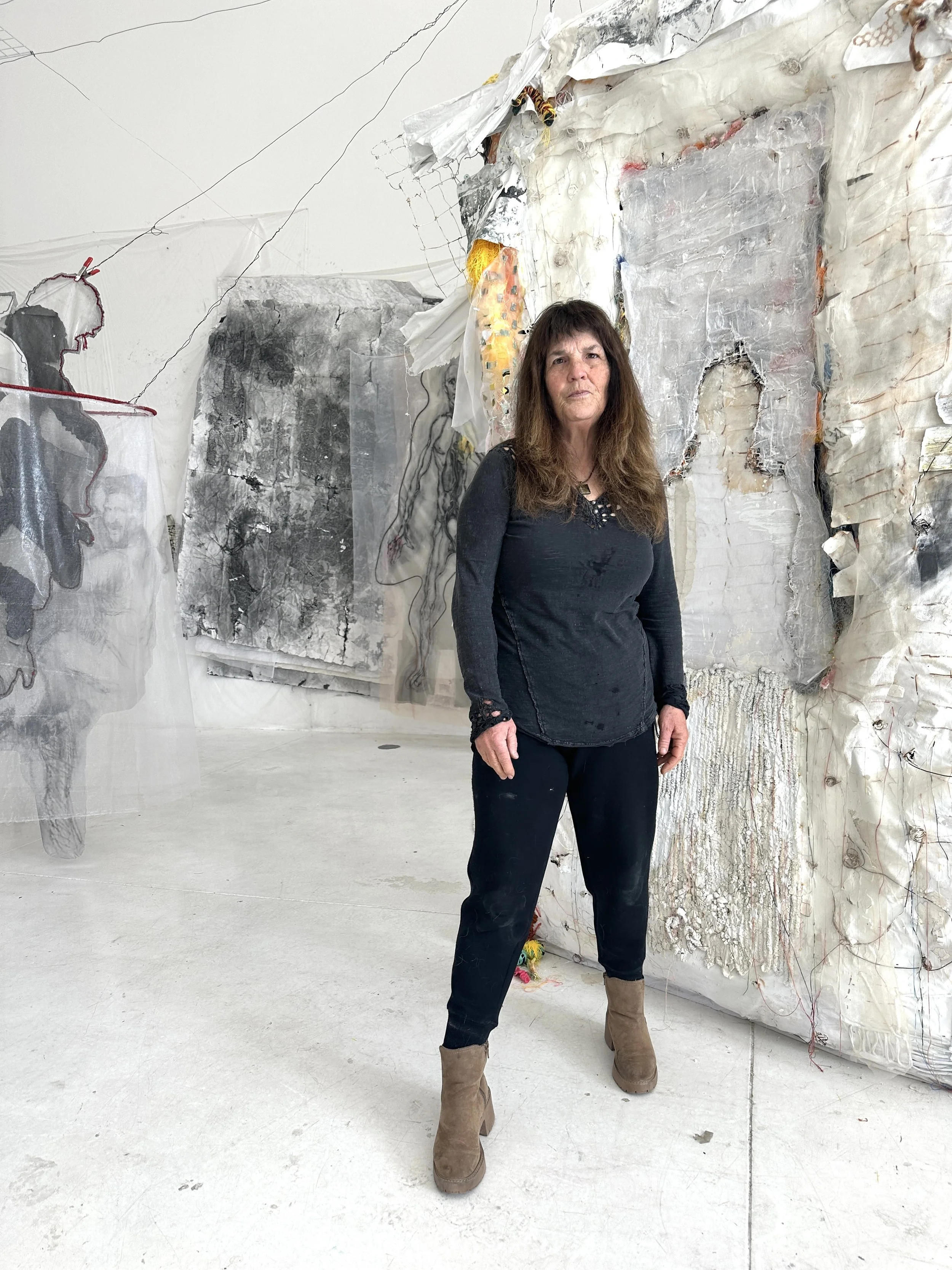 Artist Barbara Mehiman • Santa Fe, New Mexico 