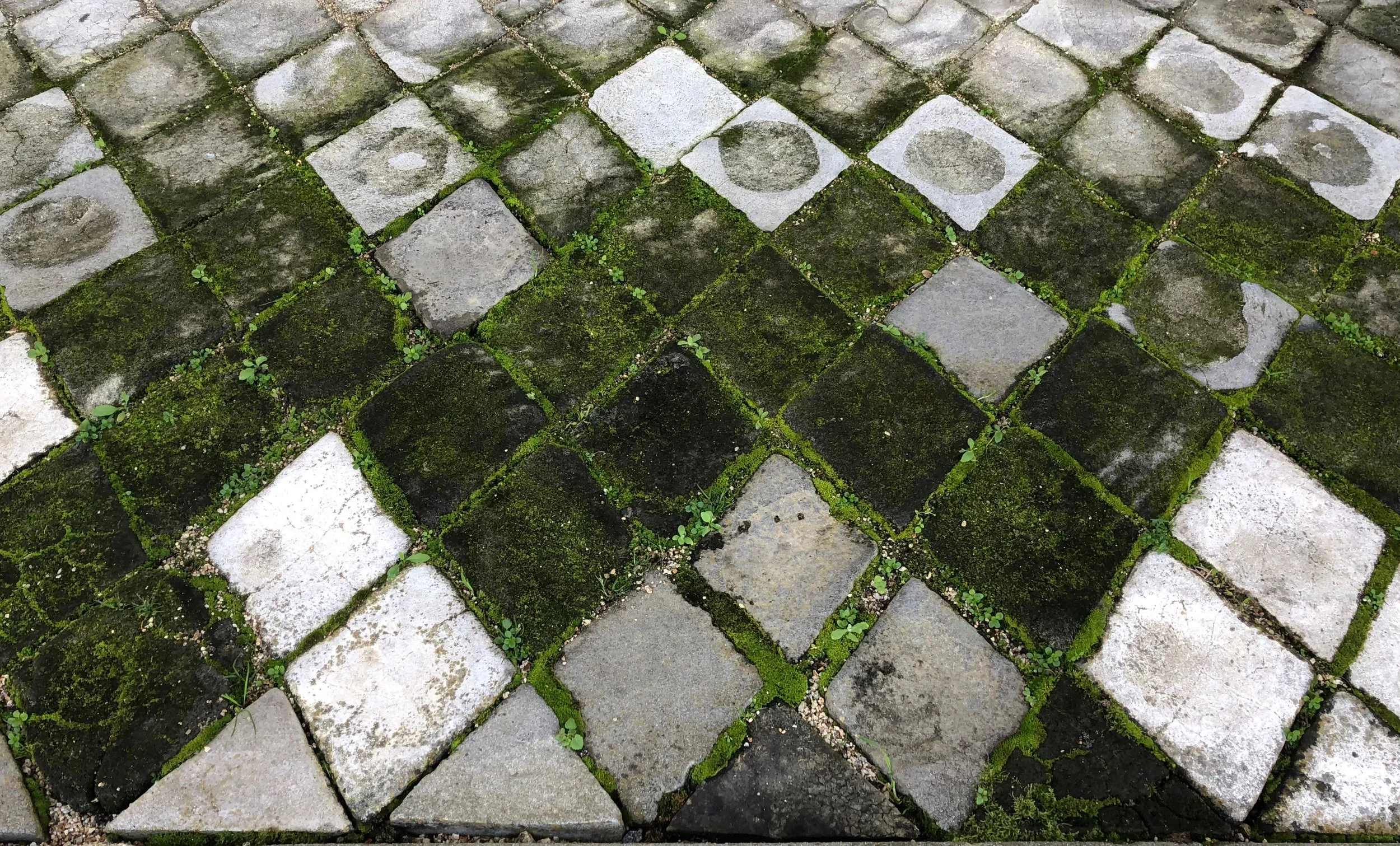 Do you know where and what this is?