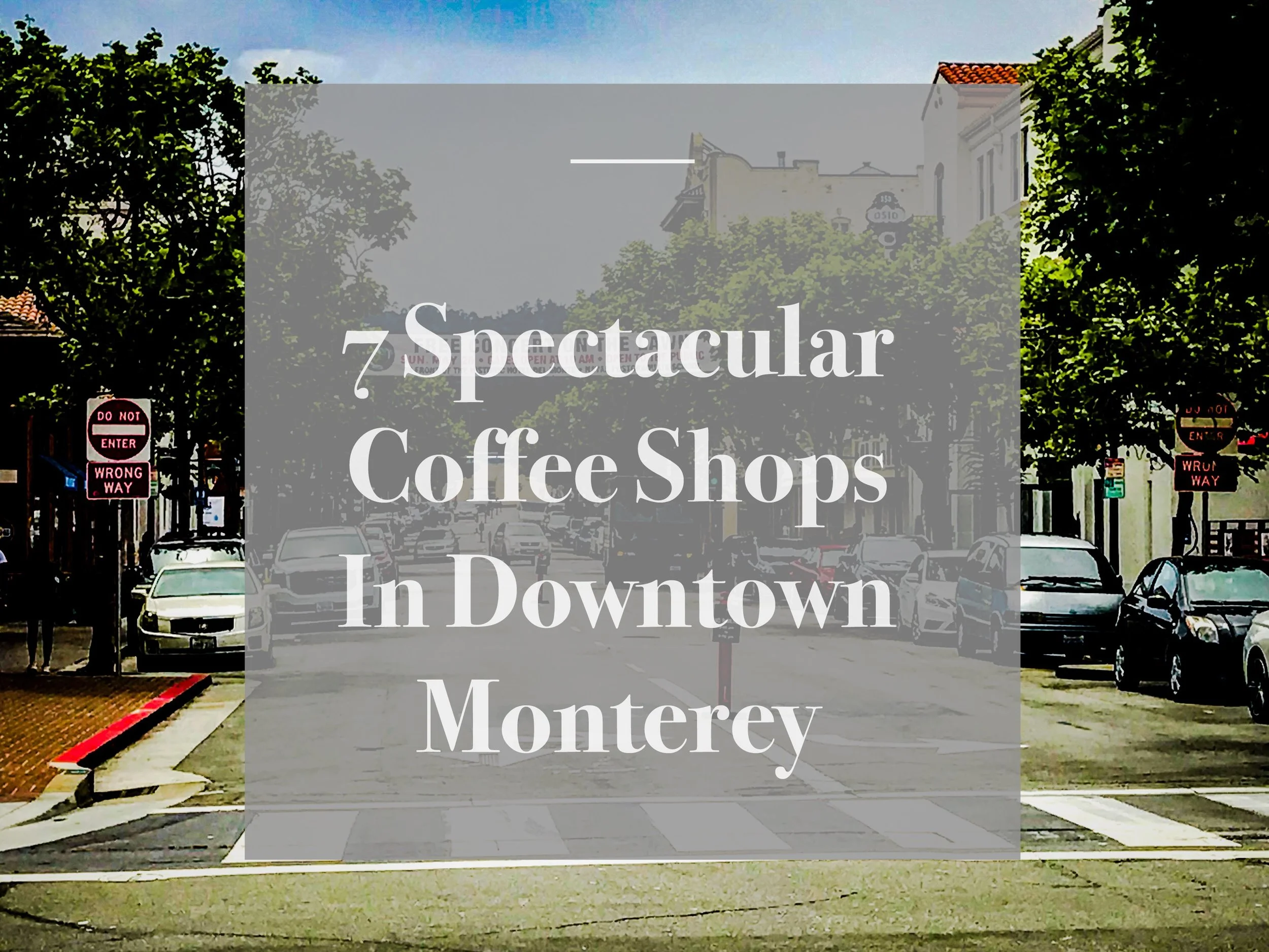 Coffee — Blog — Monterey Bay Food Tours