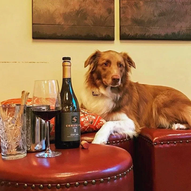 Comanche+Cellars+Dog.jpg