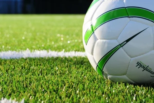 artificial turf amendment 1.jpg