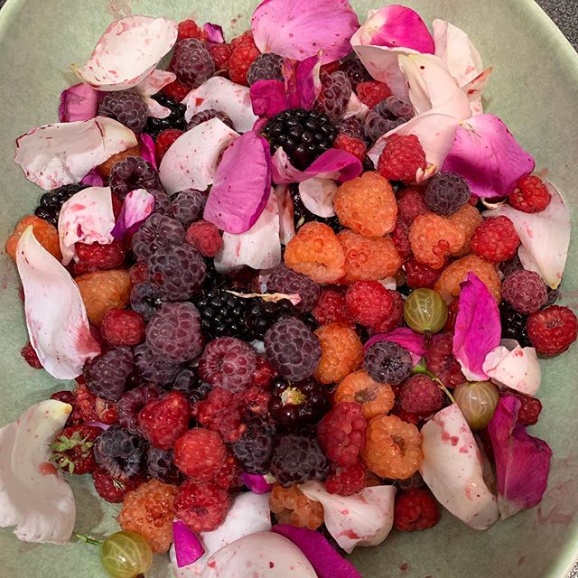 Last night haul #glencoeraspberries #valentinaraspberries #roguestrawberry #redcurrants #raspberryraspberry wonky speckled bowl from @hmhome