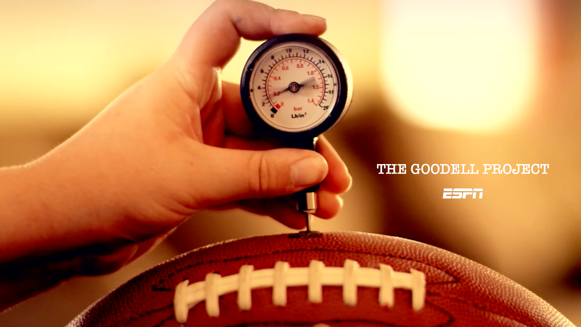 THE GOODELL PROJECT (ESPN, 2016)