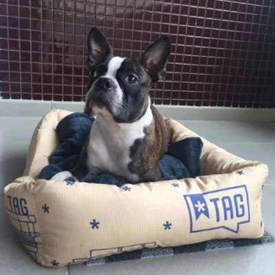 Camas para cães e gatos da TAG ajudam a expandir a marca&nbsp;