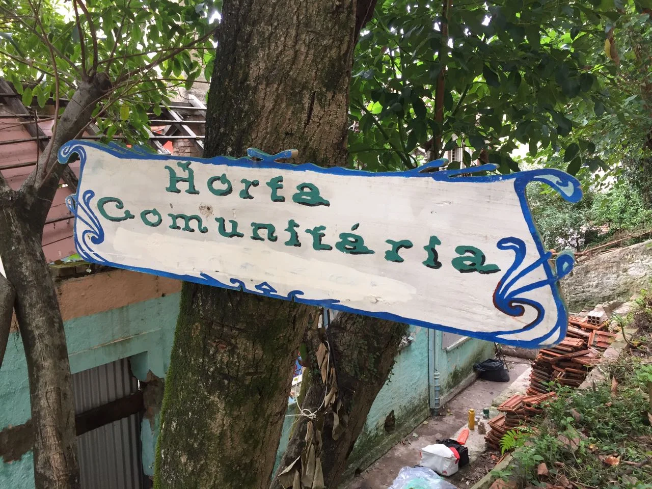 Sementes do futuro