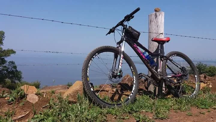 Pedal na estrada