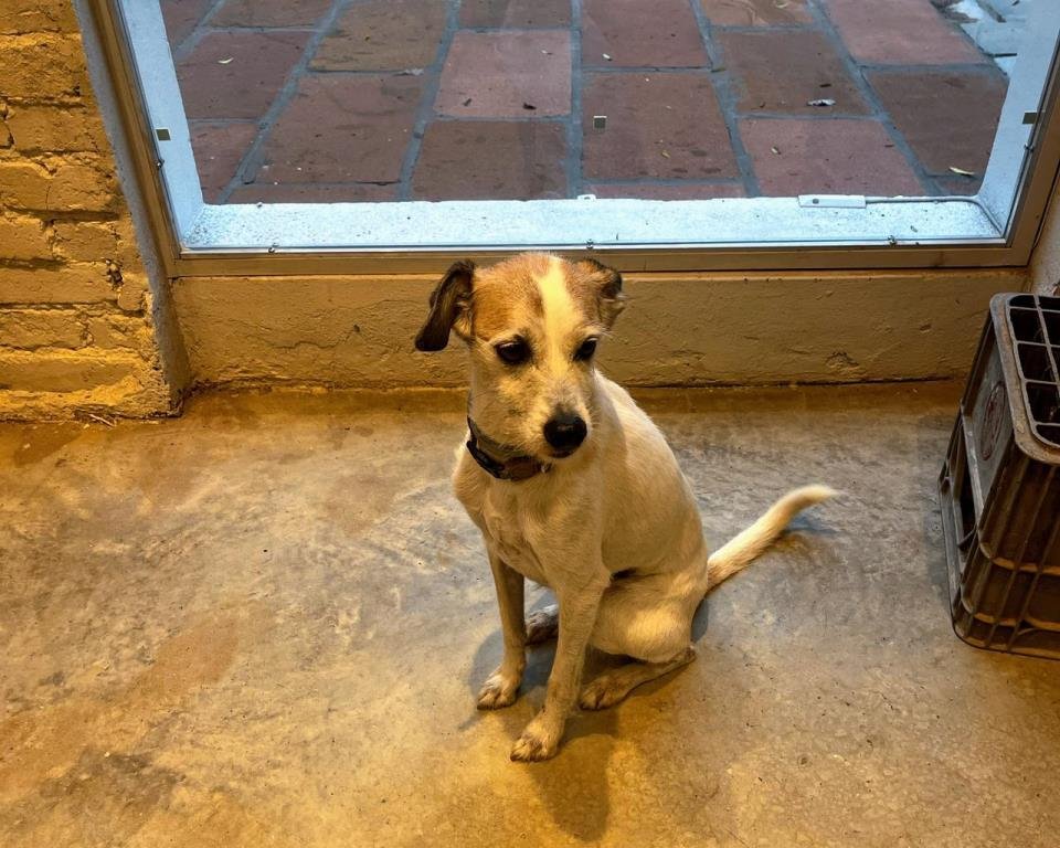 WhatsApp Image 2026-03-25 at 17.31.41 - Copia.jpeg