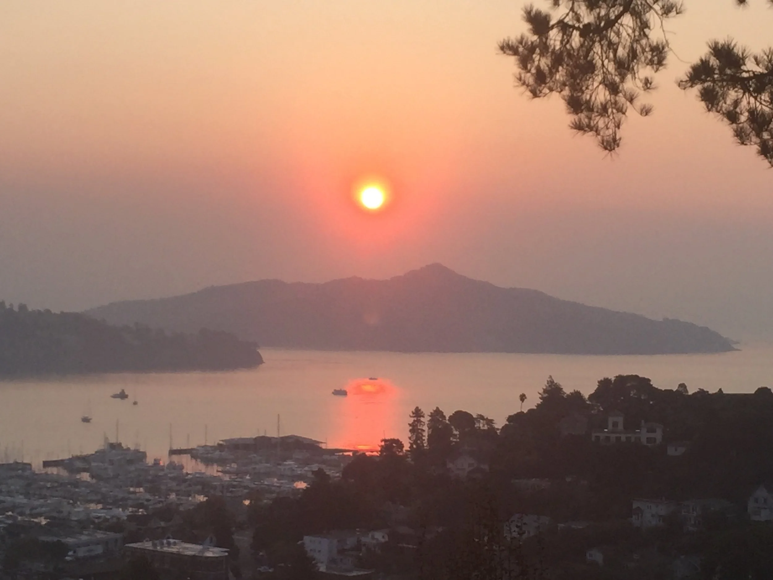 Sausalito Sunrise.jpeg