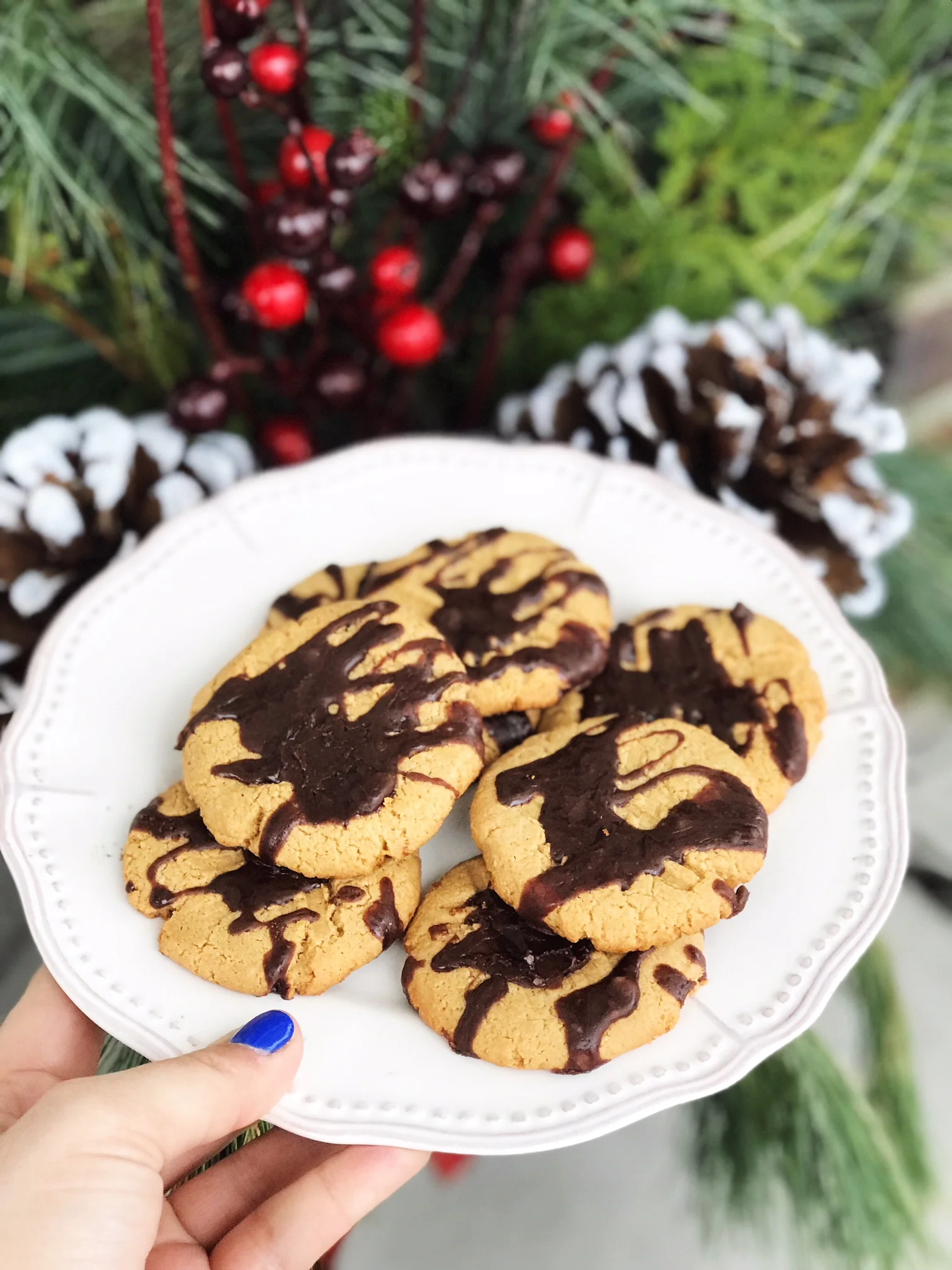 Bring Our Peanut Butter Protein Cookies to Your Holiday Party!