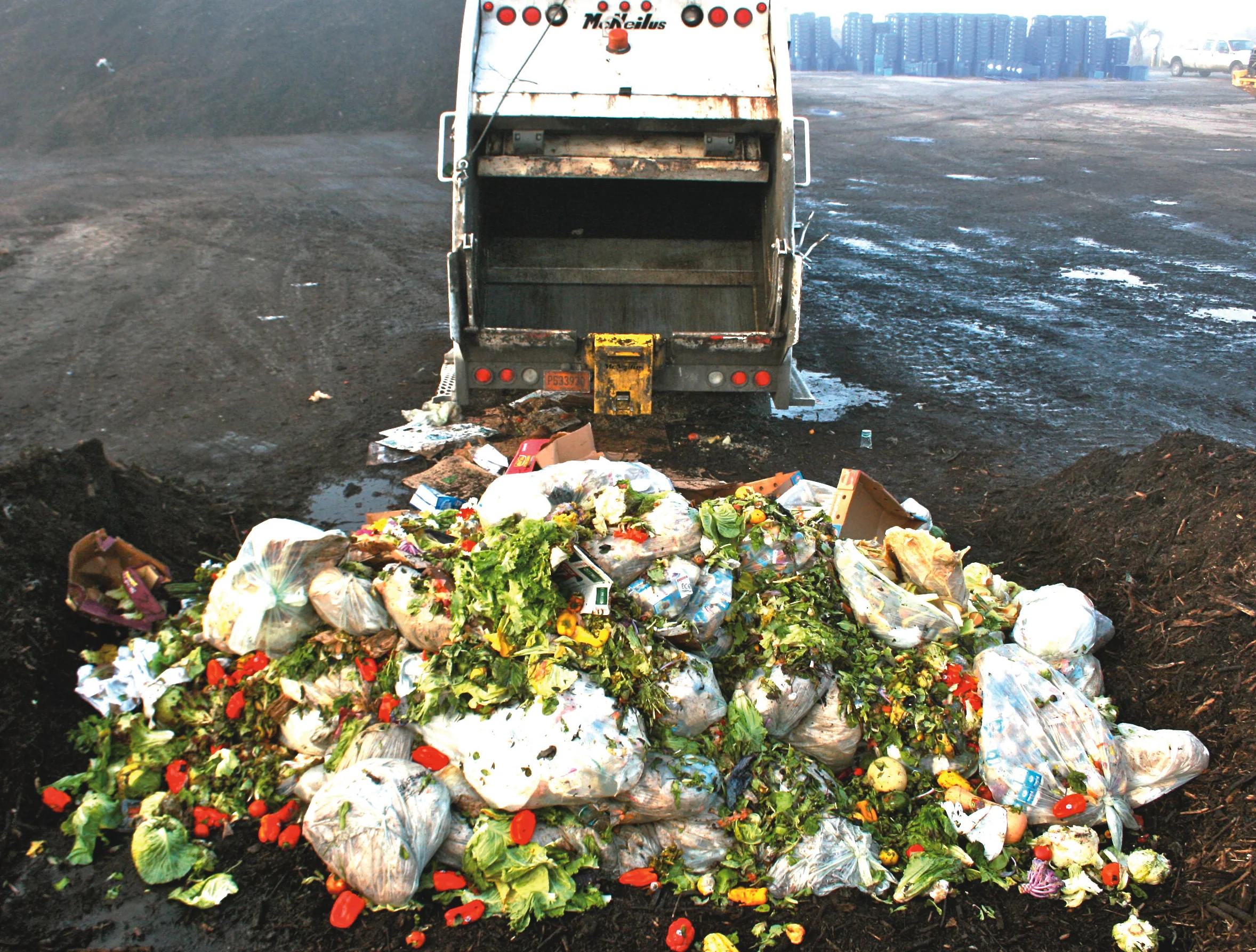 Supermercado del futiro 2.jpg