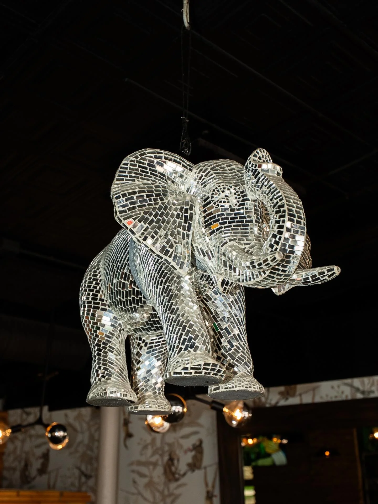 Our party animal taken to whole other level🐘🎉

Need weekend plans? Get ready for another great weekend of music, vibes, and amazing food👏