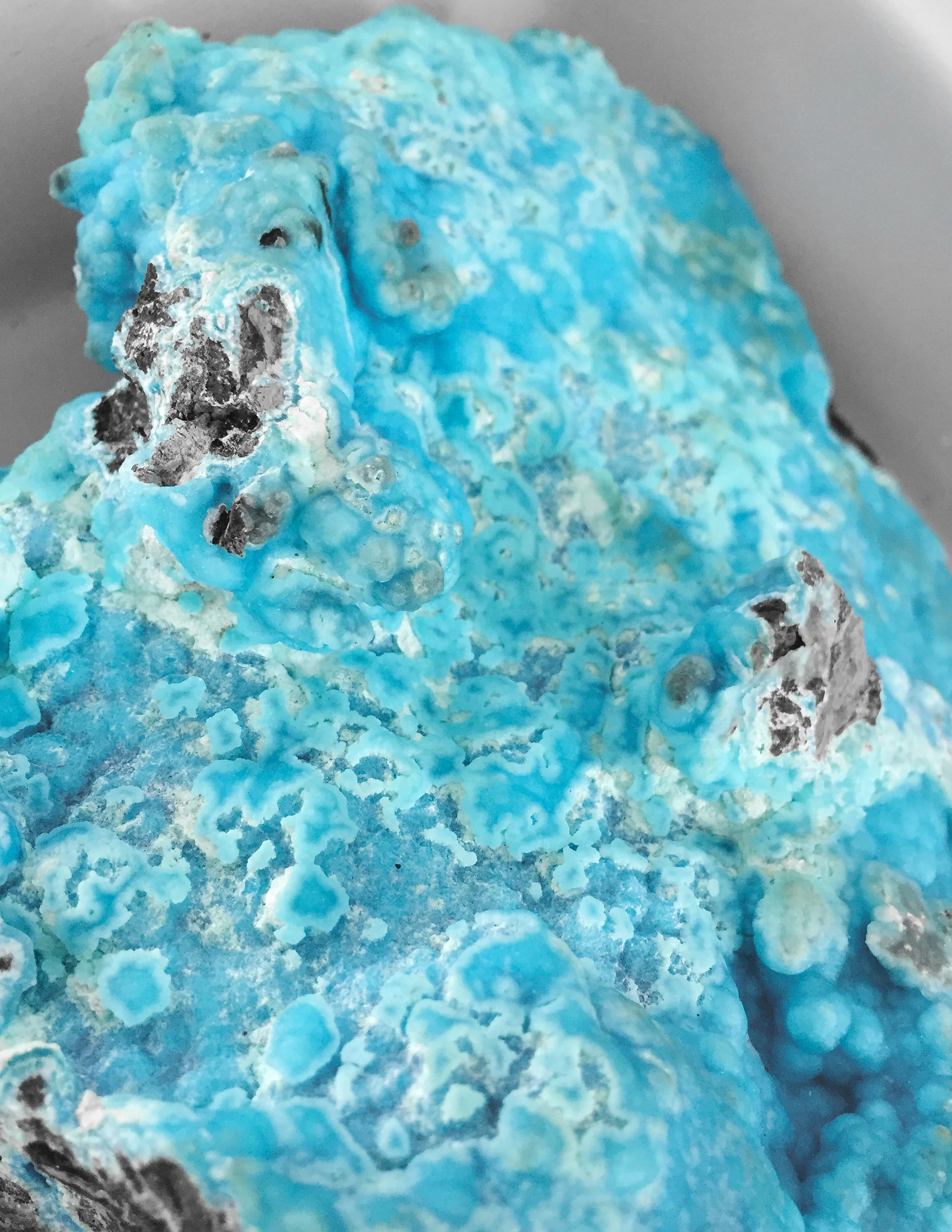 Blue 03.jpg