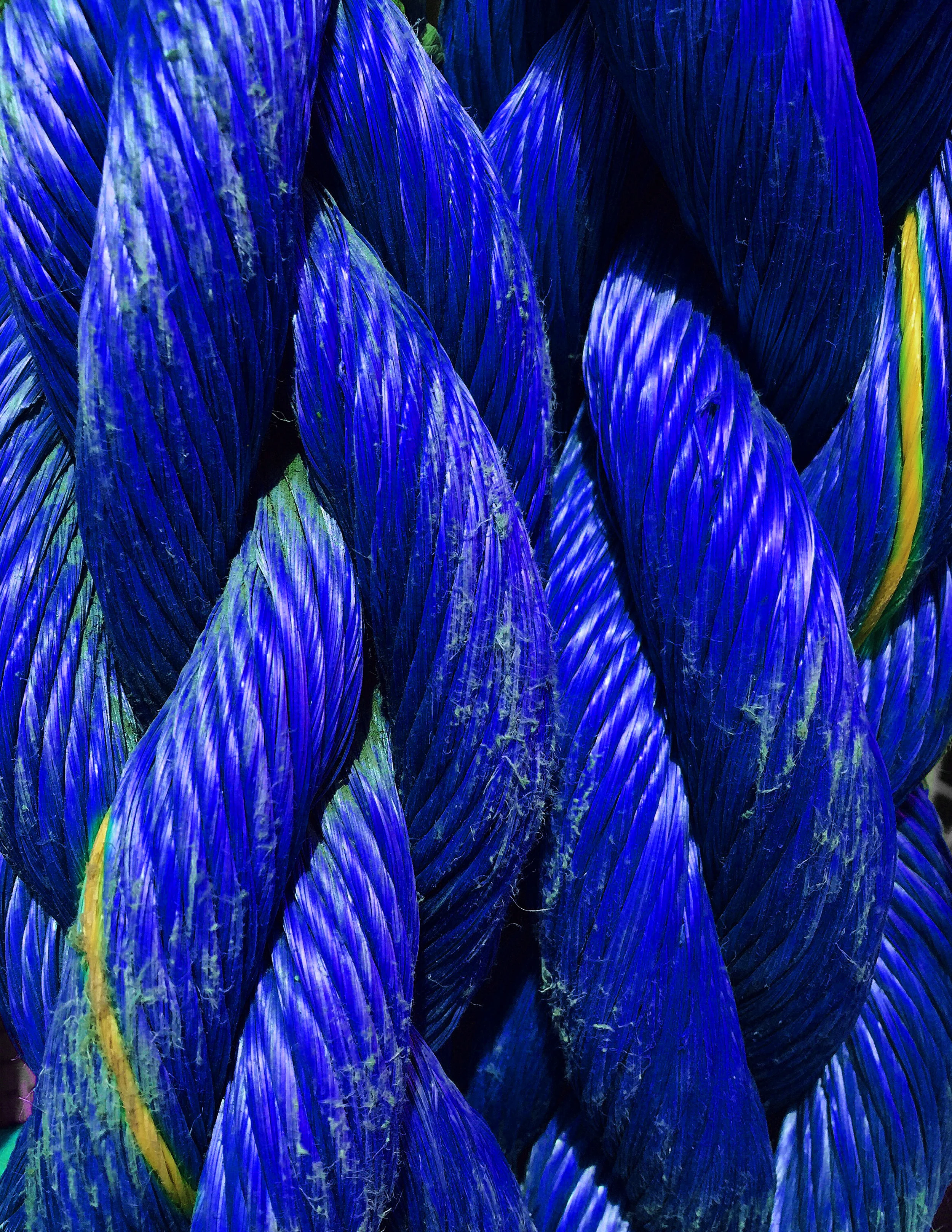 Blue 19.jpg