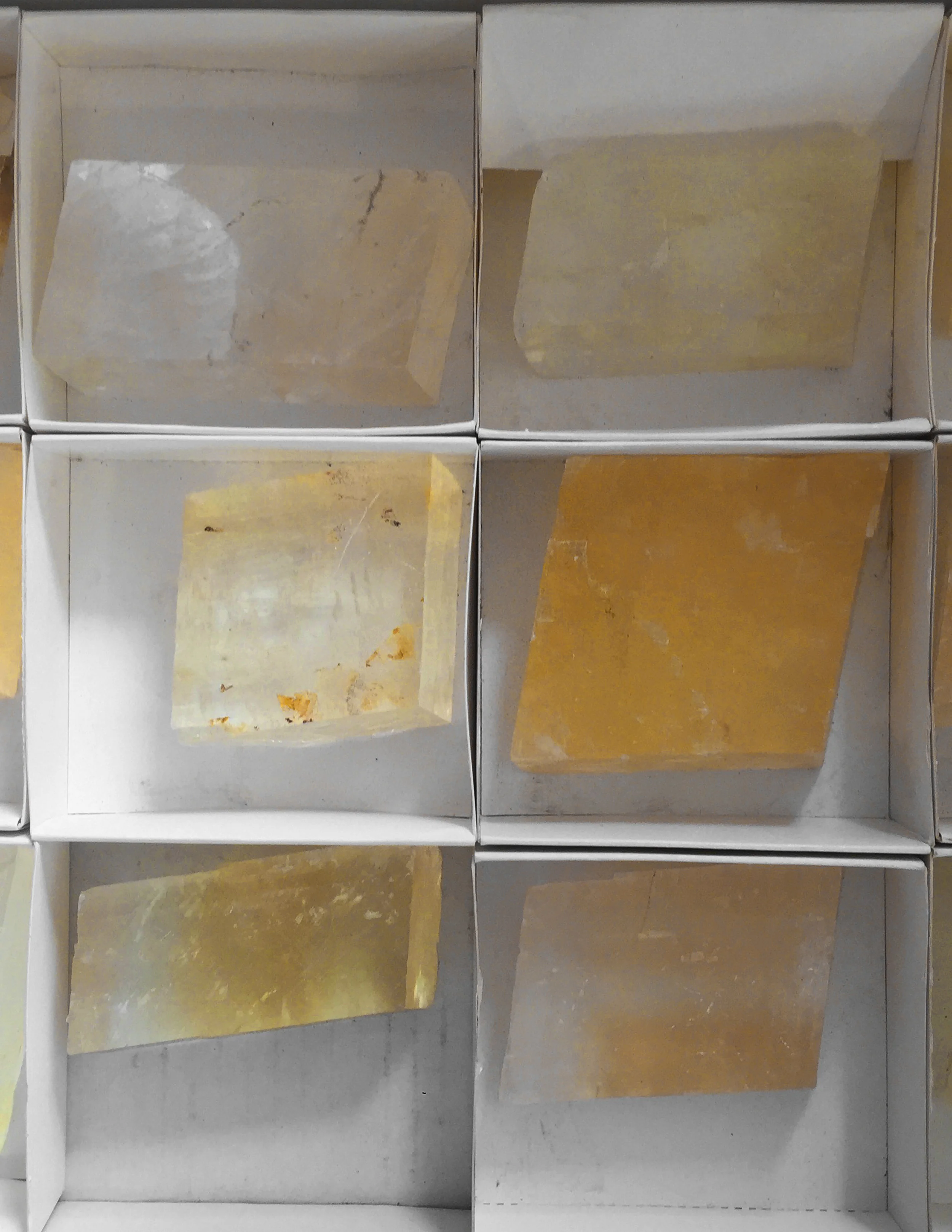 Yellow 02.jpg